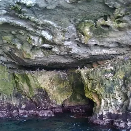 Le Ninfe Del Mare 3*