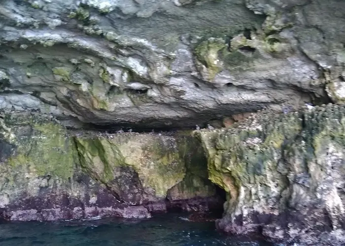 Le Ninfe Del Mare 3*